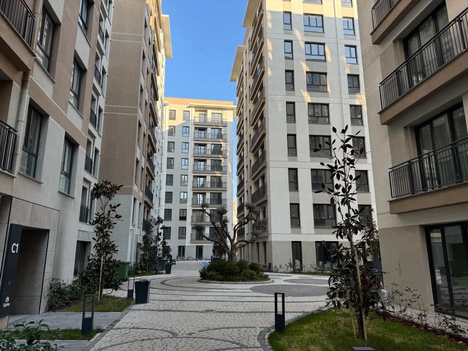 Apartment 7